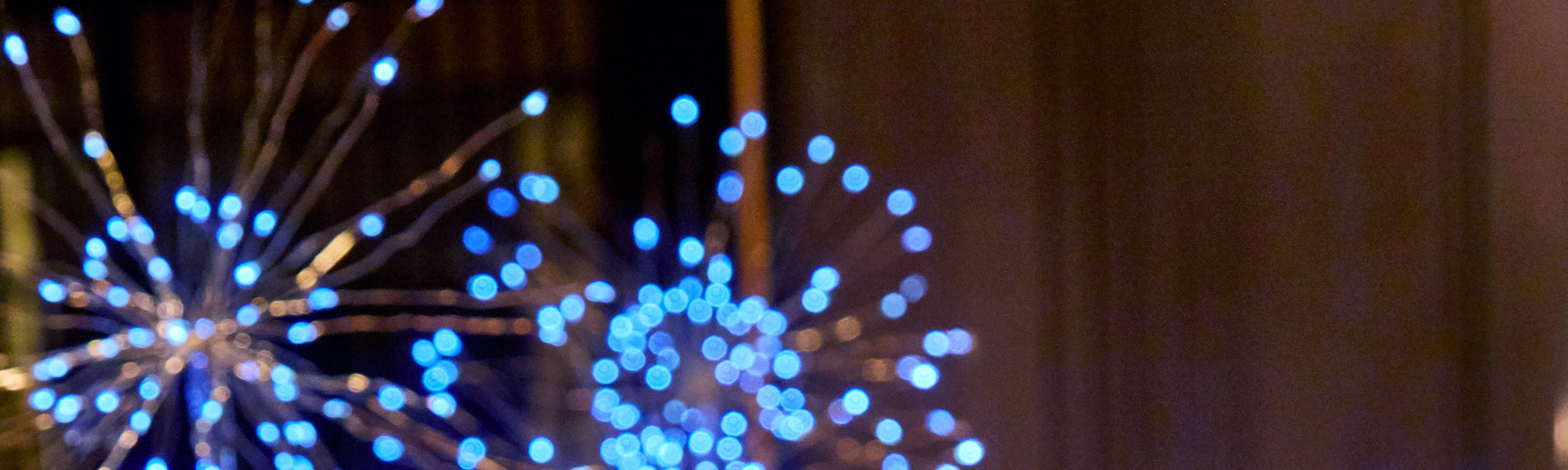 Buffet dinner for one person from Friday to Sunday